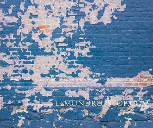 Blue Bricks